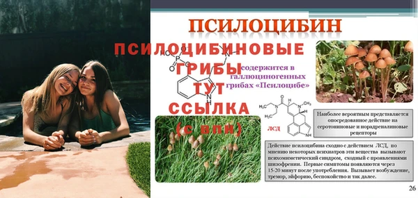таблы Коряжма