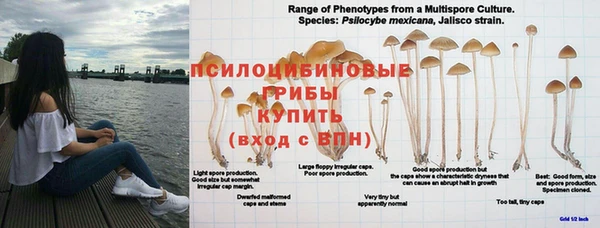 гашишное масло Костерёво