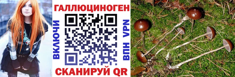 Псилоцибиновые грибы мицелий  Купить закладки  Данков 